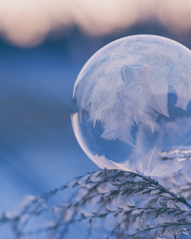 copertina menu estate con cielo e palme